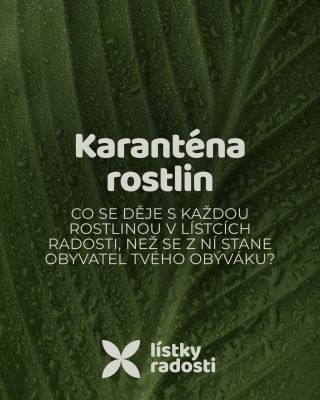 Rostlina u nás nikdy neputuje z dodávky rovnou na tvoji poličku. 🌿 Nejdřív si dá pauzu v karanténě – v bezpečném prostoru,...
