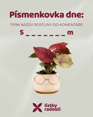 Tak schválně, kdo z vás je profík a zná odpověď. Těšíme se na vše TIPY 📌 🤩