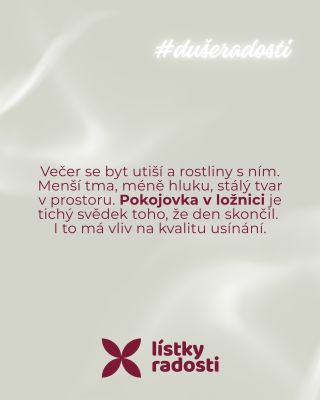 Večer se byt utiší a rostliny s ním. Méně tmy, méně hluku, stálý tvar v prostoru. Pokojovka v ložnici je tichý signál, že...