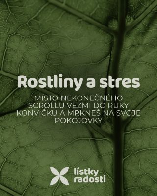 Najednou je ticho. Jen ty, konvička a pár listů, které čekají na tvoji pozornost. 🌿 Péče o rostliny není jen „koníček do...