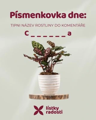 Hezkou neděli, máme pro vás další písmenkovku. Zvládnete uhodnout zbytek písmen? 🤔🤩 napište nám vaše tipy do komentáře,...