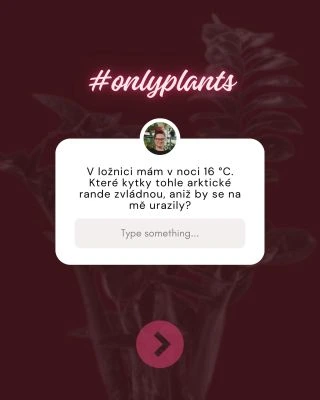 16 °C v noci je pro většinu pokojovek v pohodě. Jen vyber „držáky“ a nedávej je k oknu a do průvanu ❄🪴 Co to zvládne: •...