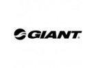 GIGANT