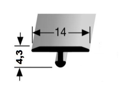 C 54