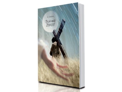 Fotomontaz Ty jsi muj zivot 2