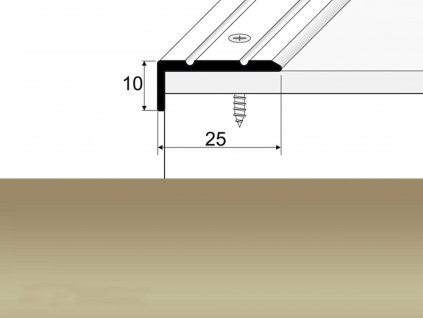 E02 šampaň 25x10 šroub 2