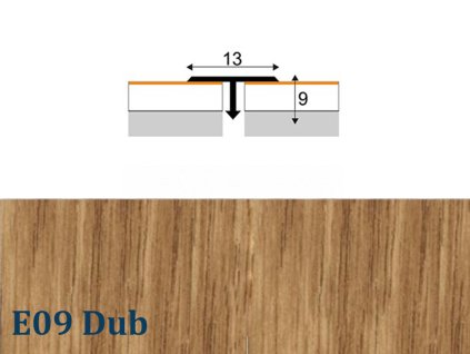 T13 dub E09