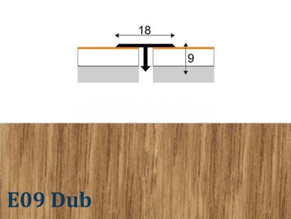 T18 dub E09
