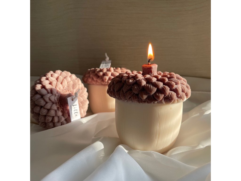 ACORN