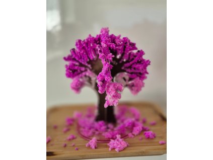 FB IMG 1764858681639