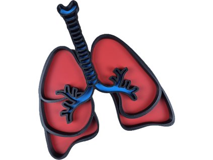 Vysypávací tácek- Plíce