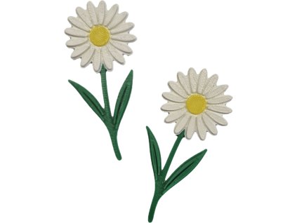 Miniatura- Kopretina