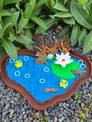 Jedna z našich novinek 💚🐸 Www.little-bee.cz #frog #sensoryplay #openendedplay #montessori #smyslovehrani