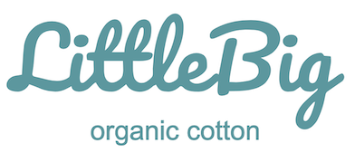 Littlebigshop