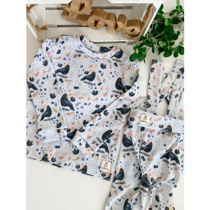 Tričko s dlouhým rukávem "Vrány"