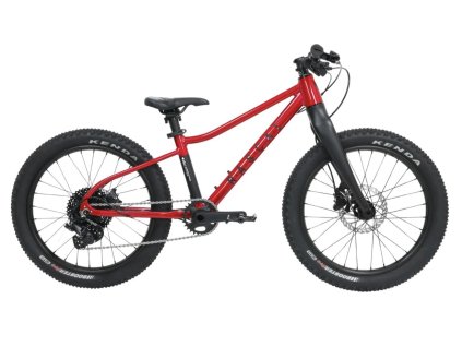 Dětské kolo RASCAL Wild 20