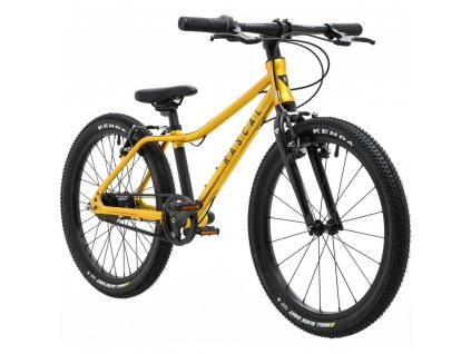 kolo rascal 20 barva gold