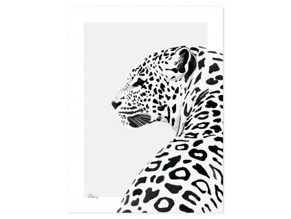 P0266 leopard
