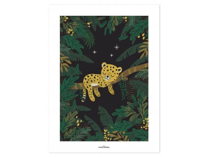P0294 Cheetah jungle night