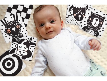 Papírové kartičky se zvířátky