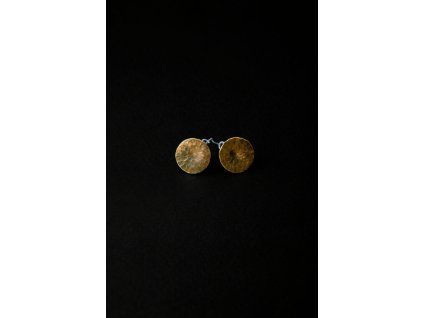 Copilot 20260315 105243