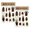 29461 2 beetle temporary tattoos