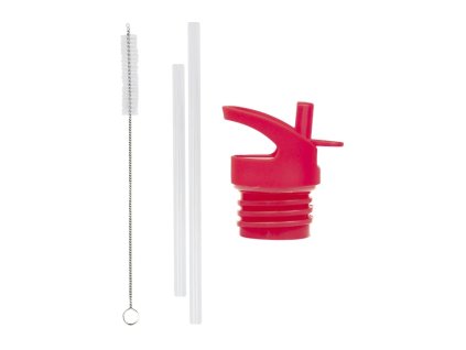 DBSSRE96 LR 1 Lid straw brush set Cherries.jpg 1