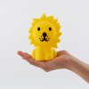 Mini lampička Lion Bundle of Light 12cm