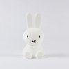 Mini lampička Miffy 15cm Bundle of Light