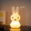 Miffy Shines 22cm