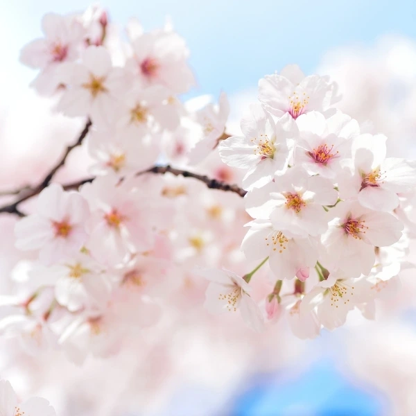 Jaro je tu! 5 tipů, jak si užít první sluneční paprsky s dětmi