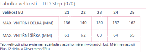 D.D.Step 070