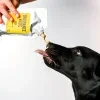 endurance pasta 5