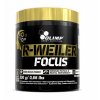 R Weiler Focus 300g brusinkový