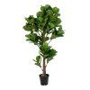 Fiddle leaf stromek  5713917004522 49 1459