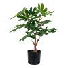 Fig stromek  5713917022588 49 1463