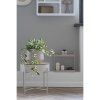 Hoya carnosa  5713917033355 51 1454