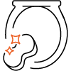 ikona