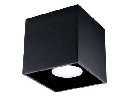 Stropní svítidlo Quard 1 - černá