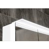 LINEX galerka s LED osvětlením, 100x70x15cm, borovice rustik