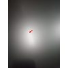 D1
