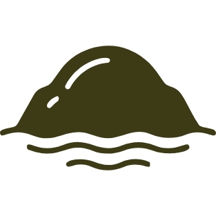 Podporuje zdravou půdu