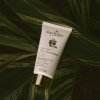 Glory Veil Face sunscreen SPF 50+