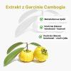 garcinia