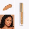 Almond (Dark Skin) Correct & Conceal