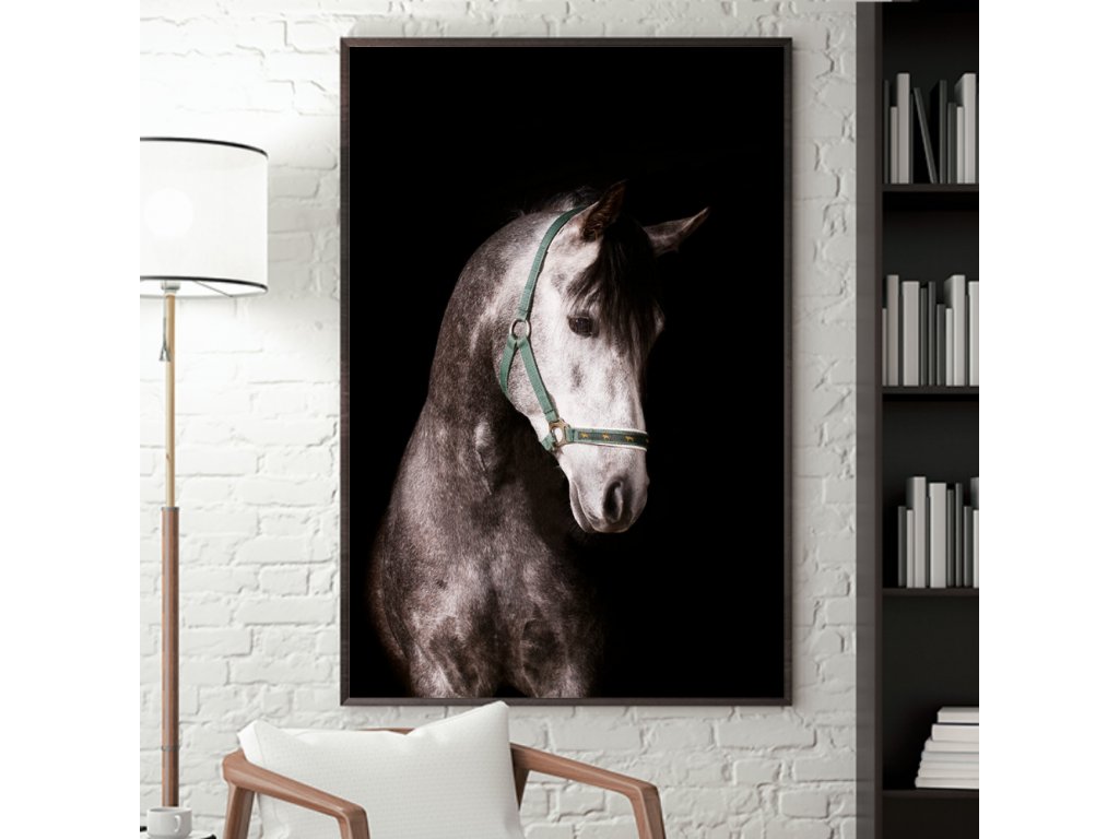 Wall Art - White horse