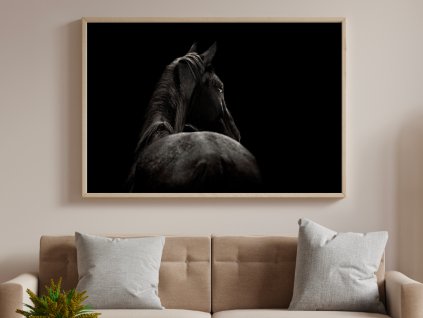 Wall Art - Black Horse