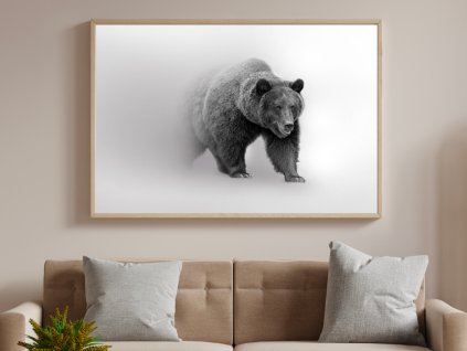 Wall Art - Bear