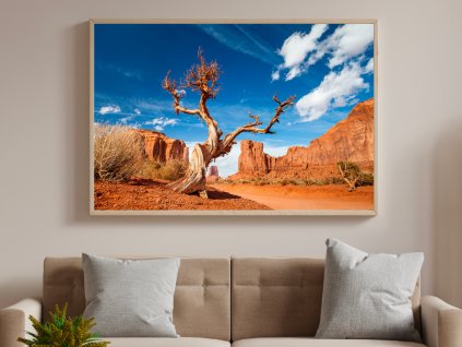 Wall Art - Arizona