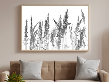 Wall Art - Black and white grass